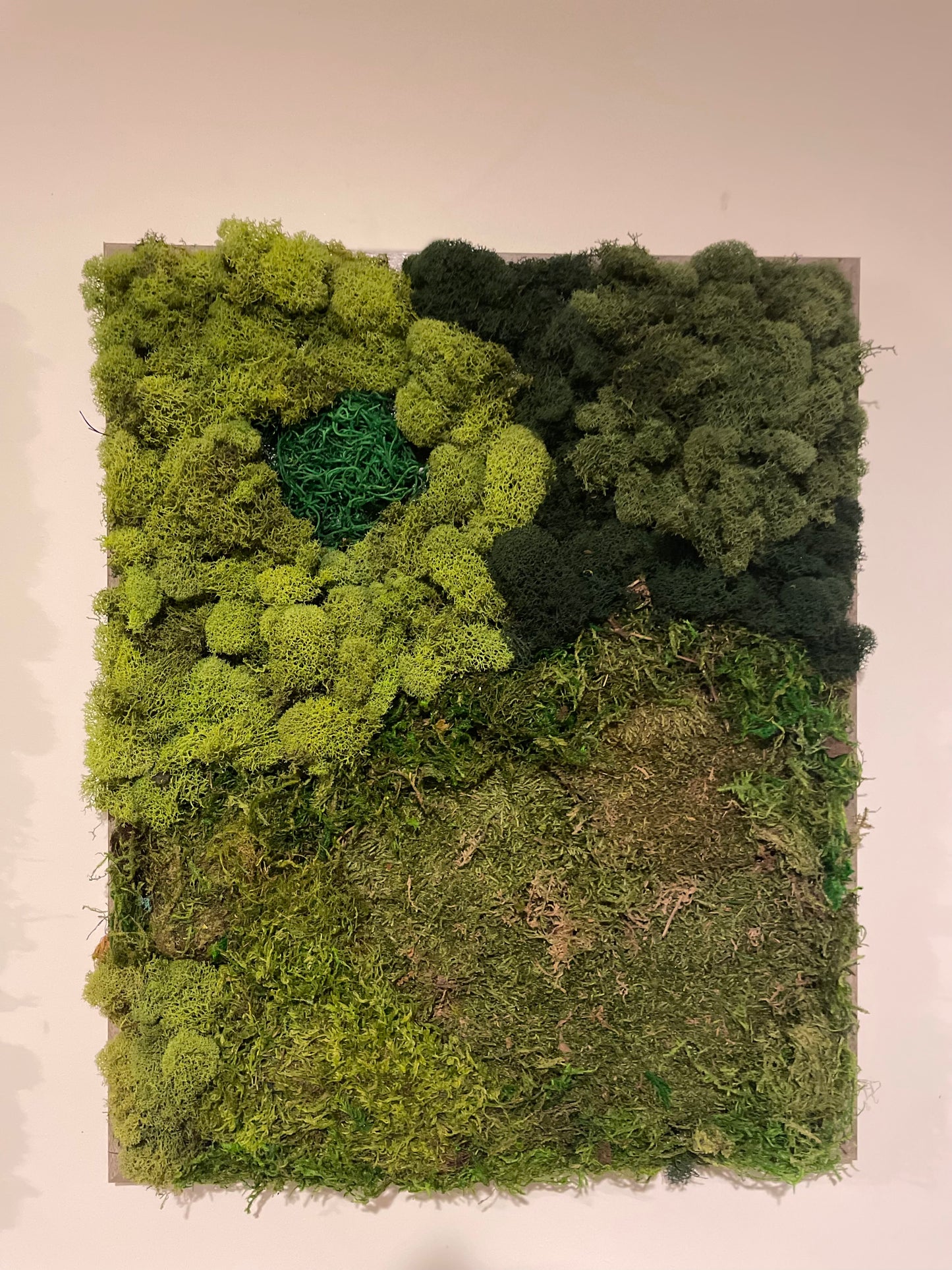 Add greenery and life to your home decor with this funky, vibrant, moss art installation. Perfect for shelves, bedside tables, coffee tables, home offices and desks.