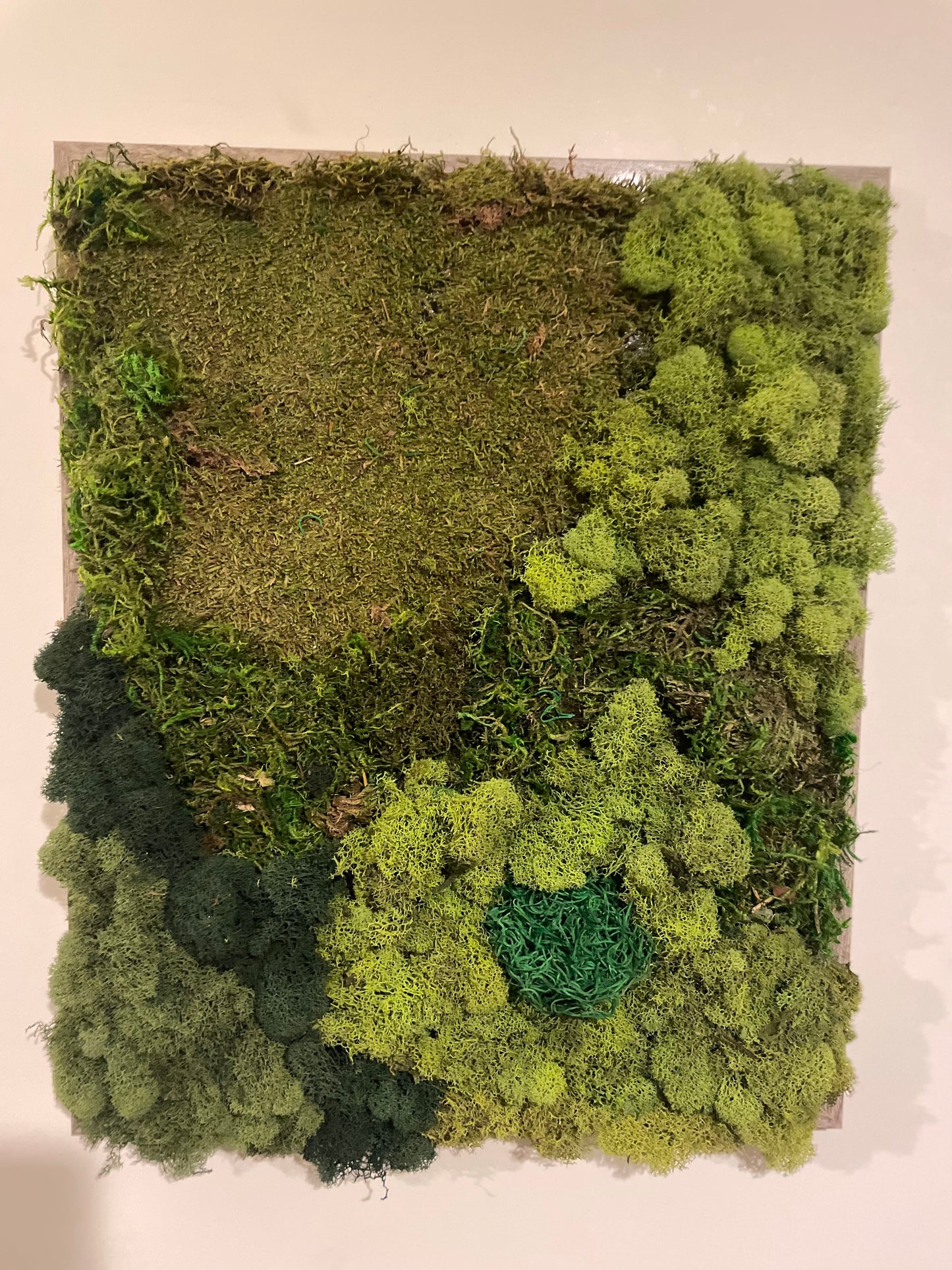 Add greenery and life to your home decor with this funky, vibrant, moss art installation. Perfect for shelves, bedside tables, coffee tables, home offices and desks.