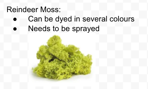 There are many types of moss including reindeer moss, spanish moss, forest moss, mountain moss, mood moss, pool moss, sheet moss, and more!