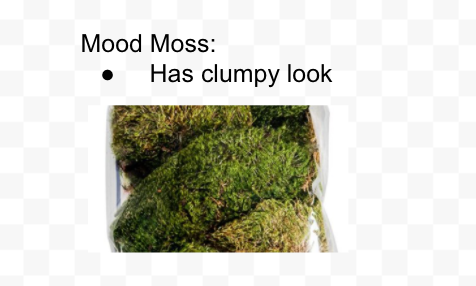 There are many types of moss including reindeer moss, spanish moss, forest moss, mountain moss, mood moss, pool moss, sheet moss, and more!