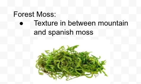 There are many types of moss including reindeer moss, spanish moss, forest moss, mountain moss, mood moss, pool moss, sheet moss, and more!